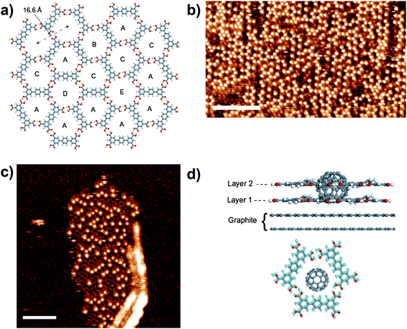 a) Molecular schematic of a section of T5 network that highlights the hexagonally ordered network of pores, A–E; b) STM image of an area of T5 network ca. 24 h after deposition of C60. The locations of C60 are clearly visible as the bright spots in the image; the underlying T5 network structure is not visible. Scale bar = 160 Å; c) STM image of T5 network immediately after C60 deposition. An island of C60 and bilayer T5 network grows away from a surface defect. The initial layer of T5 network is visible with an altered contrast and the T5 molecules in the second layer appear with the long axis of the molecules as bright, rod-like features. Scale bar = 110 Å. d) Side-view of the C60–bilayer network that consists of two overlying pores of type A and a view perpendicular to the surface plane with the C60 placed at its minimum-energy position for both the first- (light blue) and second-layer pores (grey). The two layers are displaced slightly with respect to each other, which aids clarity, but in addition is expected on the basis of calculations. Reproduced with permission from the Nature Publishing Group.28
