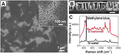 
          SEM images of (A) top and (B) side view of rGO sheets assembled on Si nanowell substrates. Inset in (A): A magnified top-view image. (C) Raman spectra of adsorbed MB on rGO sheets coated on Si and Si nanowells.