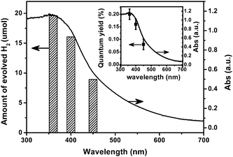 Wavelength dependence of photocatalytic H2 production over the bare C3N3S3polymer. The inset shows the overall quantum yield obtained with irradiation of different incident light wavelengths as a function of absorption spectrum of the bare polymer. The light intensity at various wavelengths was kept at constant (ca. 10 mW cm2) by tuning the current of a Xe lamp. Amount of evolved H2 was obtained without any sacrificial agents after 6 h of irradiation. Light irradiation area is ca. 28.3 cm−2.