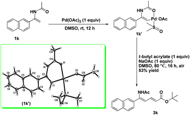 Formation of cyclic vinylpalladium complex and its reactivity study with tert-butyl acrylate.