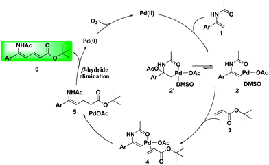 Proposed catalytic cycle for direct cross-coupling reaction of olefins.