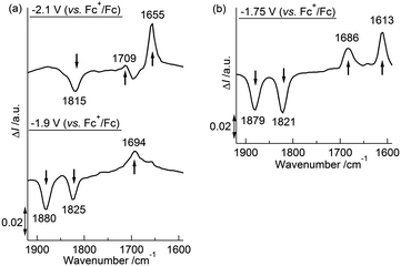 (a) Differential in situIRAS spectra of 1 with applied potentials of −1.9 V and −2.1 V (vs. Fc+/Fc) in 0.1 M Bu4NClO4–THF at 293 K. (b) Differential in situIRAS spectra of 1 with an applied potential of −1.75 V (vs. Fc+/Fc) in 0.1 M NaBPh4–THF at 293 K.