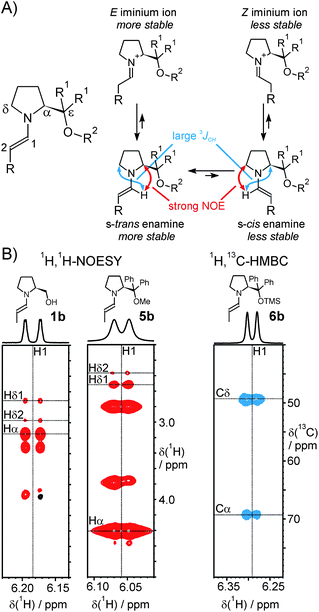 A) Left: atom nomenclature; right: the equilibrium between the enamine conformations, their relation to iminium ions and the distinctive NOEs and 3JCH; B) Sections of the 1H,1H-NOESY spectra of 1b (left) and 5b (middle) and of a 1H,13C-HMBC spectrum of 6b (right) in DMSO-d6 at 300 K.