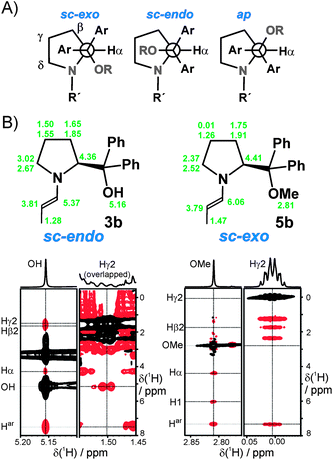 A) Staggered conformations of diarylprolinol (ether) enamines. B) 1H NMR assignments of 3b (left) and 5b (right) (note: the chemical shifts of Hβ1, Hγ1 and Hδ1 are listed below those of Hβ2, Hγ2 and Hδ2) and sections of their 1H,1H-NOESY spectra (bottom) in DMSO-d6 at 300 K (intensities of the sections are scaled individually for optimum clarity).
