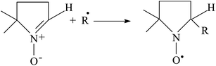 Trapping of a free radical by DMPO.