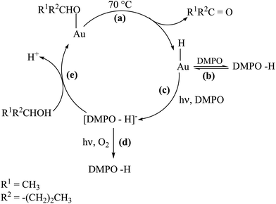 Proposed mechanism for the photoinduced reactivity of Au–H intermediates.