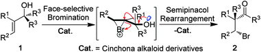 The design of the catalytic asymmetric bromination/semipinacol rearrangement reaction.