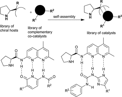 A representation of the general concept of modifying intact catalysts by self-assembly, and the two systems under investigation here.