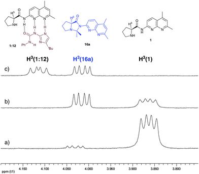 
          1H-NMR spectra in CDCl3 of the reaction mixture of acetone and ProNap 1 (35 mM) showing the characteristic resonances for Pronap 1 and pyrroloimidazolidone 16a after 2h. a) 0.5 eq. acetone; b) 35 eq. acetone; c) 35 eq. acetone and 1 eq of ureidoimidazole 12.