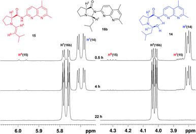 
          1H-NMR spectra in CDCl3 of the reaction mixture of isobutyraldehyde and ProNap 1 showing the characteristic resonances for the hemiacetal 14 and enamine 15 intermediates and pyrroloimidazolidone 16b.