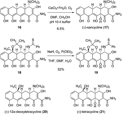 Late-stage C12a-hydroxylation reactions in tetracycline synthesis.20,21,10