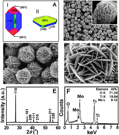 (A) A schematic drawing of the Wulff construction of a rutile TiO2 crystal at equilibrium (I) and the as-formed nanosheet with exposed (001) facet (II). (B–D) Field-emission scanning electron microscopy (FESEM) images. (D) X-ray diffraction (XRD) pattern and (E) Energy-dispersive X-ray (EDX) analysis of the as-prepared TiO2–MoO3 composite. The inset in (B) shows a natural desert rose.