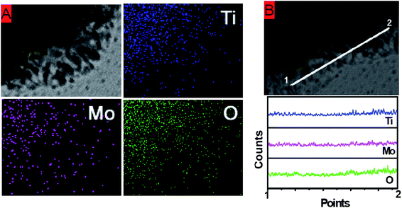 (A) Element mapping over part of the composite sphere. (B) Element mapping along a tangential line at the nanosheet region.