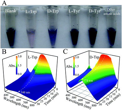 (A) Photograph for 0.1 wt% amylose and 0.2 mM iodine in PBS (pH 6) without and with 100 μM aromatic amino acids or 10 mM nonaromatic amino acids, respectively. The tested other amino acids include l-Cys, l-Arg, l-Ser, l-Thr, l-Ile, and l-His. (B) and (C) Time-dependent visible absorption spectra of the amylose (0.1 wt%)-I2 (0.2 mM) system with 100 μM l-Trp and d-Trp, respectively.