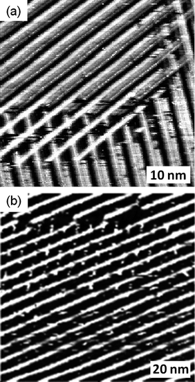 
            STM image of a physisorbed multilayer of cis-1 performed under atmospheric conditions at the octanoic acid-HOPG interface. (a) Iset = 0.50 nA, Vbias = 1.04 V (constant current), an area showing parallel lamellae and crossing points, and (b) Iset = 0.50 nA, Vbias = 1.21 V.