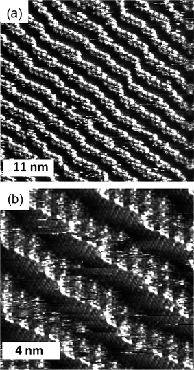 
            STM image of a physisorbed monolayer of 2 performed under atmospheric conditions at the n-octanol-HOPG interface. (a) Iset = 0.95 nA, Vbias = −0.11 V, (b) Iset = 0.98 nA, Vbias = −0.11 V.