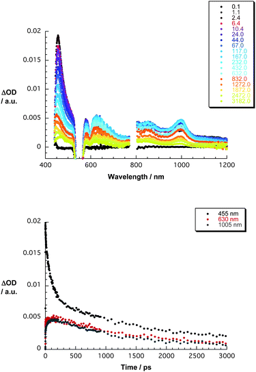 Upper part—differential absorption spectra (visible and near-infrared) obtained upon femtosecond flash photolysis (550 nm) of ZnP–C60 in THF with several time delays between 0 and 3000 ps at room temperature—see figure legend for time delays. Lower part—time-absorption profiles of the spectra shown in the upper and central parts at 455, 630, and 1005 nm monitoring the charge separation and charge recombination.