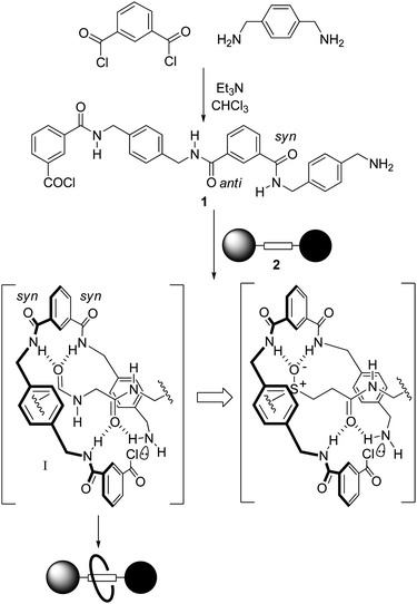 
          Hydrogen bonding modes of bis-amide and sulfoxide-amide templates for rotaxane synthesis.