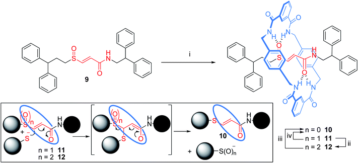 Synthesis of vinyl sulfur-based hydrogen bonded [2]rotaxanes 9–12. Reagents and conditions: (i) isophthaloyl dichloride (five-fold excess), p-xylylenediamine (five-fold excess), Et3N (ten-fold excess), CHCl3, RT, 3 h, 63% (11); (ii) MCPBA (1.5 equiv.), CH2Cl2, RT, 18 h, 83% (12); (iii) Ph2CHCH2CH2SNa (10 equiv.), DMF, 120 °C, 15 h, 85% (10); (iv) Ph2CHCH2CH2SNa (10 equiv.), DMF, 120 °C, 16 h, 92% (10). Inset: mechanism for the Michael–retro-Michael substitution of the sulfoxide/sulfone stopper group.