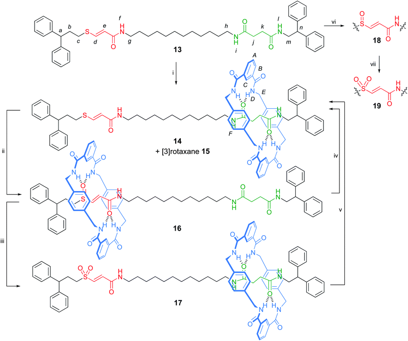 Synthesis and switching of a sulfur–succinamide molecular shuttle. Reagents and conditions: (i) isophthaloyl dichloride (five-fold excess), p-xylylenediamine (five-fold excess), Et3N (ten-fold excess), CHCl3, RT, 23% 14 + 8% 15; (ii) MCPBA (1.0 equiv.), CH2Cl2, −78 °C to RT, 2 h, 90%; (iii) MCPBA (2.0 equiv.), CH2Cl2, −78 °C to RT, 2 h, 92%; (iv) Ph2CHCH2CH2SNa (10 equiv.), DMF, 120 °C, 16 h, 93%; (v) Ph2CHCH2CH2SNa (10 equiv.), DMF, 120 °C, 18 h, 90%; (vi) MCPBA (1.0 equiv.), CH2Cl2, −78 °C to RT, 2 h, 93%; (vii) MCPBA (2.0 equiv.), CH2Cl2, −78 °C to RT, 2 h, 88%.