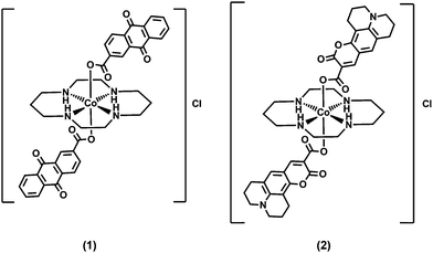 Compounds generated and used in this study. (1) [Co(AQ2C)2(cyclam)]Cl, (2) [Co(C343)2(cyclam)]Cl.