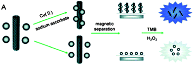 Schematic representation of the indirect detection of CuII based on the CuAAC between MWNTs and magnetic silica nanoparticles. Reproduced from ref. 70 with permission.