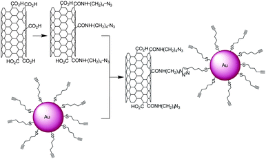 Synthesis of SWNT-Au nanoparticle conjugates. Azide groups were introduced on the nanotubes while the nanoparticles were modified with triple bonds. The two nano-objects were reacted together in the presence of CuSO4 and sodium ascorbate.