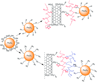 Grafting via CuAAC of magnetic nanoparticles on the “clickable” nanotube platforms described in Scheme 3. The iron oxide nanoparticles containing either alkyne or azide functionalities were attached on the azide or alkyne MWNT composites.
