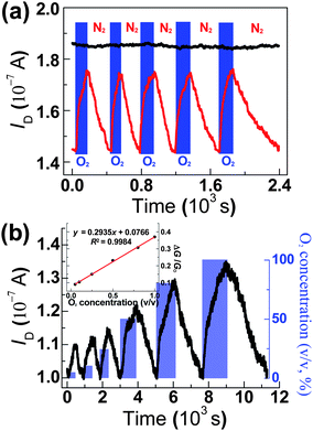 (a) Representative sensing cycles of a TiO2-decorated graphene (red) and pristine graphene (black) devices upon sequential exposure to high-purity oxygen (99.99%) and nitrogen under continuous UV irradiation; VD = 200 μV, VG = 50 V. (b) A concentration-dependent spectrum of a TiO2-decorated graphene device under UV irradiation. Inset shows the linear response of the device to oxygen during exposure cycles; VD = 100 μV, VG = 50 V.