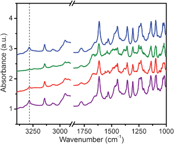 
            Infrared spectra obtained upon exposure of mmen-CuBTTri to a 5% CO2/95% He gas mixture in a high-pressure DRIFTS cell. Under dry conditions, the N–H stretch of mmen is apparent at 3283 cm−1 (vertical dashed line) on a fully evacuated sample (purple). Dilute CO2 in He was slowly introduced into the cell (red) up to a dynamic pressure of 1.5 bar (green). Upon saturation, the N–H stretch fully disappeared. Following reactivation under vacuum and heating at 60 °C (blue), the N–H stretch reappeared.