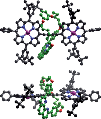 Two orthogonal views of rotaxane P2a⊂M in the crystal (hydrogen atoms, coordinated methanol molecules and chloroform solvent molecules omitted for clarity).