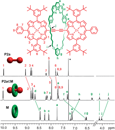 Partial 1H NMR spectra (400 MHz, CDCl3 + 1% C5D5N) of rotaxane P2a⊂M, non-interlocked dimer P2a and macrocycle M; these spectra were fully assigned using 2D NMR techniques; see ESI.