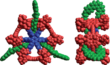 Calculated structure of cc-P6⊂M33·T6 (MM+ force field).