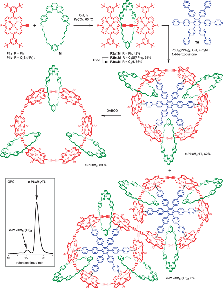 Synthesis of P2⊂M and cc-P6⊂M33. The insert shows the analytical GPC trace of the crude reaction mixture from the palladium-catalysed coupling of rotaxane P2c⊂M in the presence of template T6 (solvent: toluene; column: PLgel 3 μm mixed-E, 2 × 300 mm, 7.5 mm diameter).