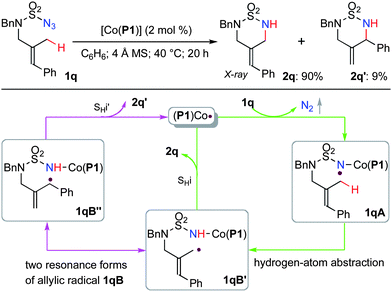The utilization of allylic radical resonance to probe the radical mechanism of Co(ii)-catalyzed intramolecular allylic C–H amination.