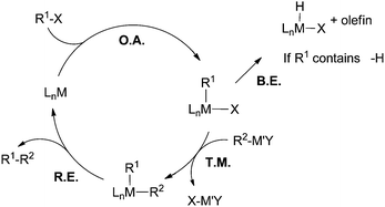 A general catalytic cycle for transition-metal-catalyzed C–C cross coupling reactions. O.A. = oxidative addition; B.E. = β-H elimination; T.M. = transmetalation; R.E. = reductive elimination.