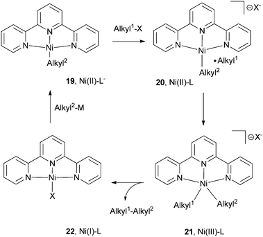 
            Catalytic cycle for alkyl–alkyl coupling by Ni-terpy complex.