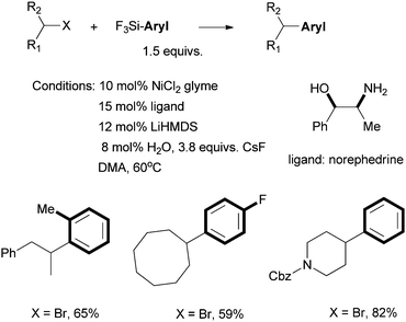 
            Ni-catalyzed Hiyama coupling of secondary alkyl halides using norephedrine as a ligand.