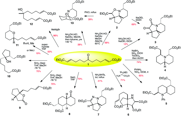 Twelve-fold branching synthesis.