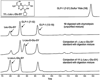 HPLC analysis of enzymatic cleavage of GLP-1 (7–21) sulfur ylide 10 (samples taken directly from the reaction mixture without purification or workup).