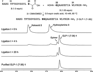 Synthesis of GLP-1 (7–36) 1 by chemoselective ligations of GLP-1 (7–21) α-ketoacid 2 and GLP-1 (22–36) hydroxylamine 3 and monitoring of the ligation by HPLC (samples taken directly from the reaction mixture without purification or workup).