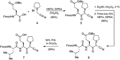 Synthesis of dipeptide cyanosulfurylide 7.