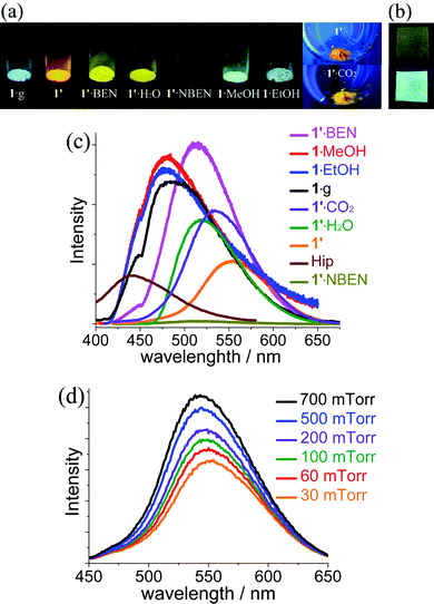 (a) Photographs of 1 in different guest inclusion states (365-nm UV light) and (b) 1·g thin film grown on a zinc plate (upper: ambient light, lower: 365-nm UV light). (c) Photoluminescence profiles of corresponding samples and (d) 1′ under variable pressure of CO2.