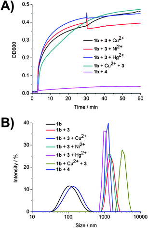 The effect of different metal ions on the aggregation of vesicles of 1b in the presence of 3 and “inert” vesicles of 1b in the presence of 4. A) Time-dependent measurement of OD600. B) Size distribution of vesicles of 1b according to DLS. Conditions: [1b] = 30 μM, [3] = 10 μM, [4] = 100 μM and [M2+] = 14 μM in 10 mM carbonate–bicarbonate buffer (pH 9.0). Guest 3 (or 4) was added at 3 min and M2+ was added at 30 min, with the exception of one measurement, in which Cu2+ was added at 1 min and guest 3 was added at 3 min.