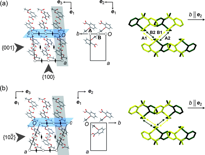 Crystal structures of the aspirin polymorphs: (a) form I, (b) form II. In the two figures, the grey slabs highlight planes parallel to {001} or {102̄}. The slip planes are coloured blue. The projection drawings in the centre show molecules within a single grey slab that are involved in significant stabilising interactions across the slip plane. In form I, these interactions (A and B) are across inversion centres. The figures to the right are projections down the c axis (ee33 in the Cartesian reference system), showing compression and elongation of the interactions during relative motion along b in the direction of the arrow. Yellow and green molecules lie in adjacent planes parallel to {001} or {102̄} (i.e. in adjacent grey slabs in the left-hand figure). H atoms are omitted. In I, movement of the upper molecules compresses interaction A1 and elongates interaction B1 in the front plane (yellow). For the rear plane (green), movement in the same direction elongates A2 and compresses B2. In form II, however, all interactions shown by the arrows are equivalent and 21-related, so movement in either direction along eee222 causes equivalent compression and elongation of interactions in the front and rear planes.