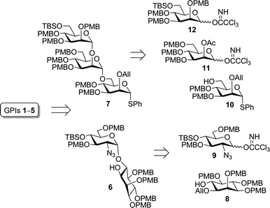 Convergent–divergent synthetic strategy.