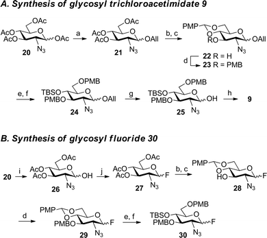 Synthesis of donors 9 and 30. (a) AllOH, SnCl4, MS 4 Å, CH2Cl2, 81%. (b) NaOMe, MeOH. (c) anisaldehyde dimethyl acetal, CSA, DMF, 77% for 22, 78% for 28 (two steps). (d) NaH, PMBCl, DMF, 97% for 23, 95% for 29. (e) NaBH3CN, dry HCl in Et2O, MS 4 Å, THF. (f) TBSOTf, 2,6-lutidine, CH2Cl2, 60% for 24, 72% for 30 (two steps). (g) [Ir(COD)(PMePh2)2]PF6, H2, THF; then HgCl2, HgO, acetone, H2O, 85%. (h) Cl3CCN, DBU, CH2Cl2, 83%. (i) BnNH2, THF, 87%. (j) DAST, CH2Cl2, 98%.