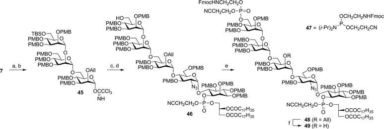 Key glycosylation and phosphorylation reactions. (a) p-TolSCl, AgOTf, TTBP, wet CH2Cl2, 50% (68% BRSM). (b) Cl3CCN, DBU, CH2Cl2, 92%. (c) 35, TMSOTf (cat.), MS 4 Å, Et2O. (d) Et3N·3HF, THF, CH3CN, 83% (two steps). (e) 47, 1H-tetrazole, CH2Cl2, CH3CN; then t-BuOOH, −40 °C, 81% (two steps). (f) [Ir(COD)(PMePh2)2]PF6, H2, THF; then HgCl2, HgO, acetone, H2O, 90%.