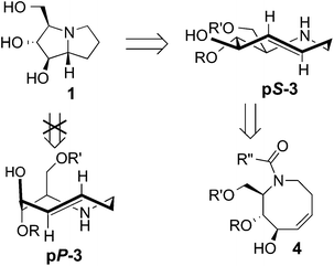 Retrosynthesis of hyacinthacine 1 using transannular hydroamination and diastereoselective photoisomerization as key steps.
