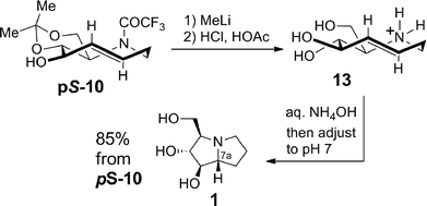 Synthesis of hyacinthacine A2 via transannular hydroamination with planar-to-point chirality transfer.